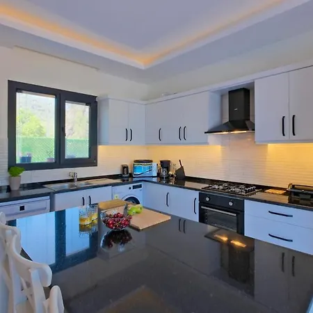 Aloha Gocek Indoor Pool And Sauna Vilă *